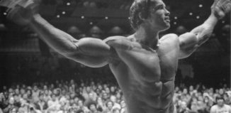 Arnold-Schwarzenegger-Wallpapers-2011-6_608_334_c1