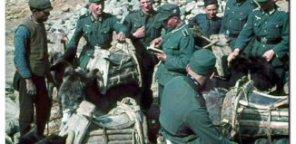 GERMAN-SOLDIERS-GERMAN-ARMY-WW2-COLOR-LARGE-IMAGES-PICTURES-bulgaria-002