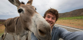 Allan_Dixon_donkey_3533069k